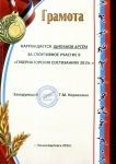 Грамота 17   губернаторские  соревнования